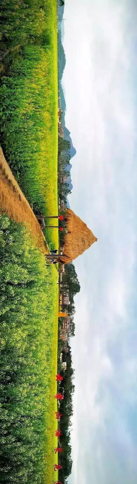 中國經(jīng)濟(jì)體制改革基金會全國第一！中國改革熱度第三方評估出爐，云浮宣傳系數(shù)在全國343個(gè)城市居首位                             